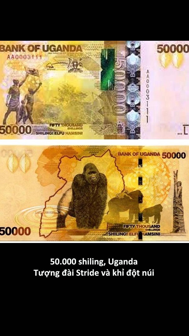 Nhung to tien dep nhat the gioi anh 10