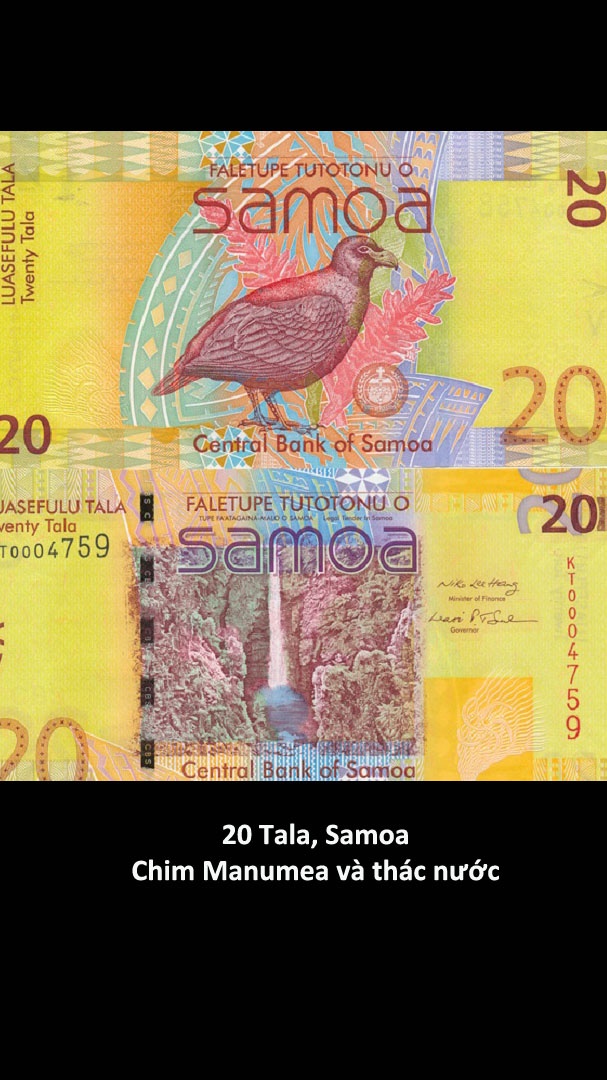 Nhung to tien dep nhat the gioi anh 11