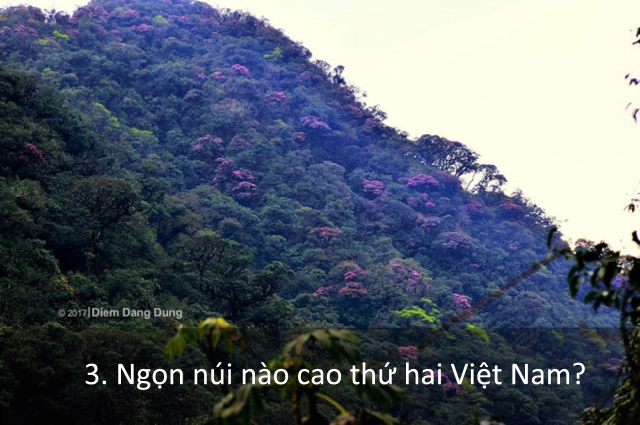 Trắc nghiệm về du lịch Việt Nam ảnh 3 Trac nghiem ve du lich Viet Nam anh 3