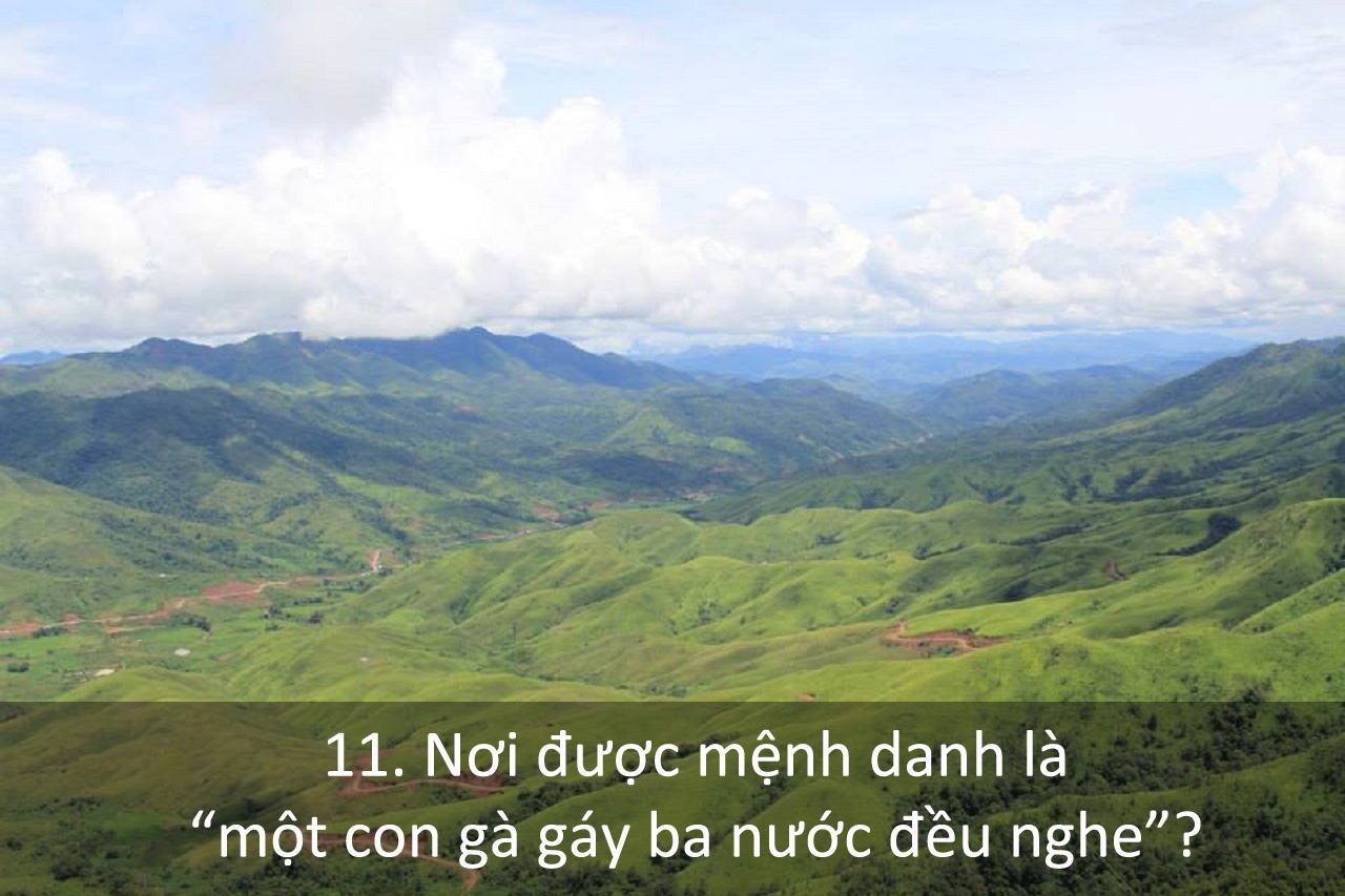 Trắc nghiệm về du lịch Việt Nam ảnh 11 Trac nghiem ve du lich Viet Nam anh 11