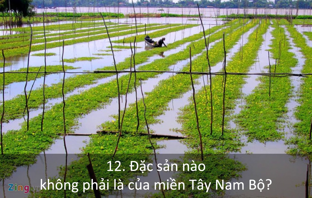 Trắc nghiệm về du lịch Việt Nam ảnh 12 Trac nghiem ve du lich Viet Nam anh 12