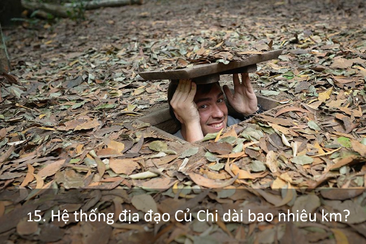 Trắc nghiệm về du lịch Việt Nam ảnh 15 Trac nghiem ve du lich Viet Nam anh 15