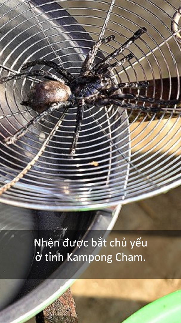 Dac san nhen den anh 2