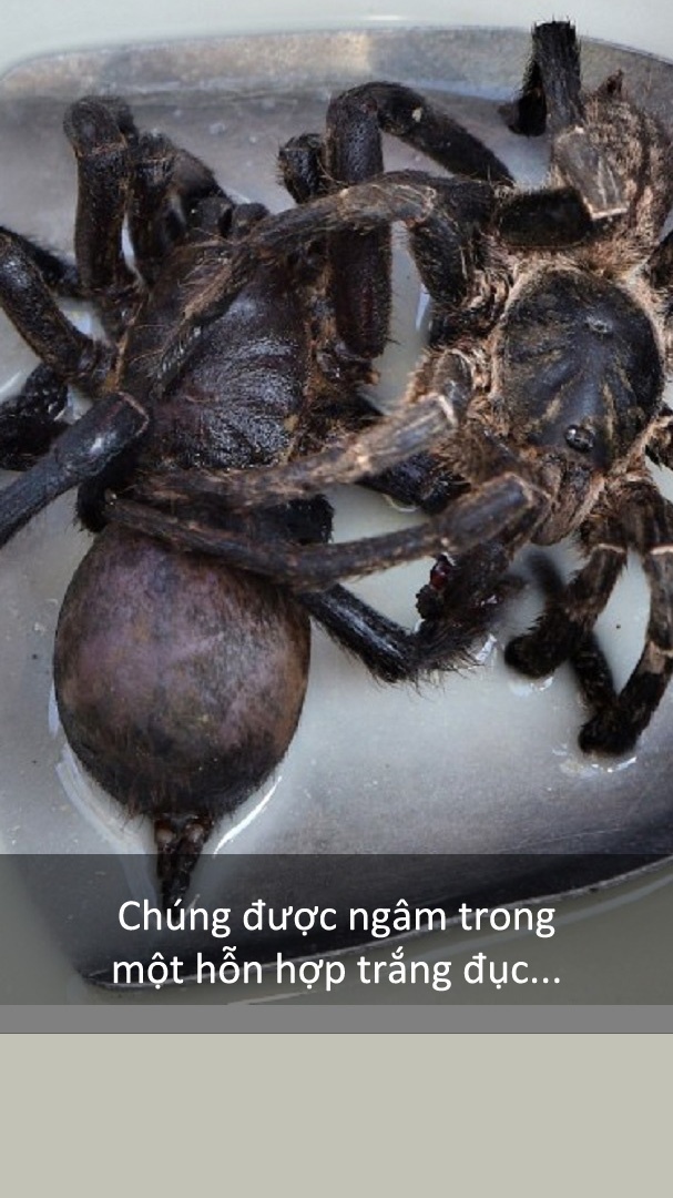 Dac san nhen den anh 3