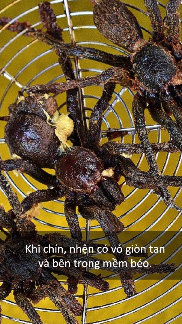 Dac san nhen den anh 6