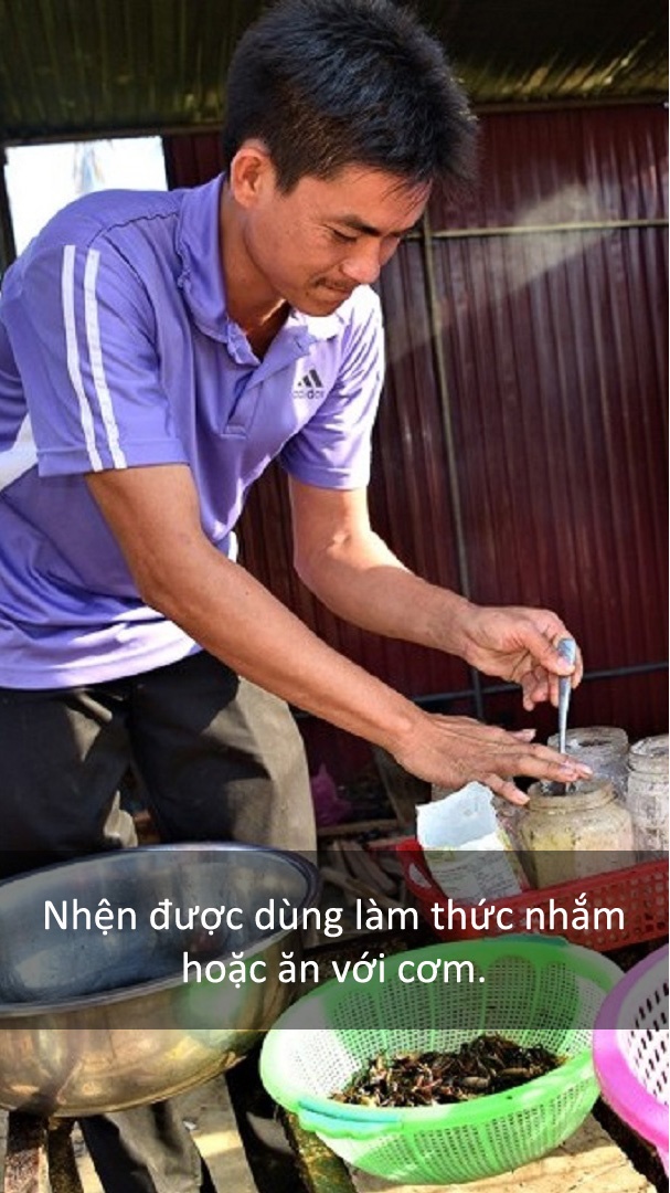 Dac san nhen den anh 8