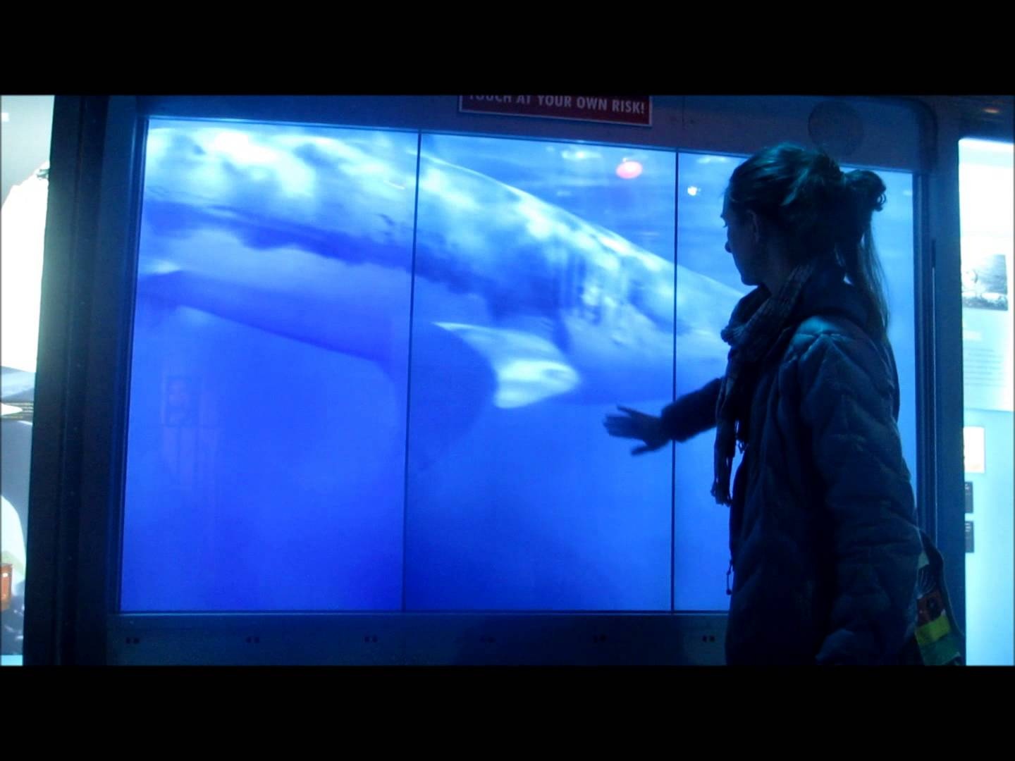 Tro choi can nao va xe cua James Bond o bao tang gian diep My anh 9