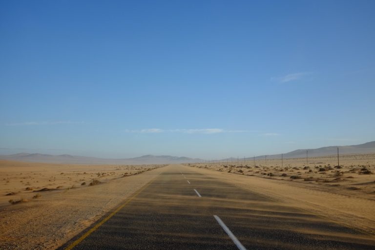 Thi tran bo hoang bi sa mac nuot chung anh 11