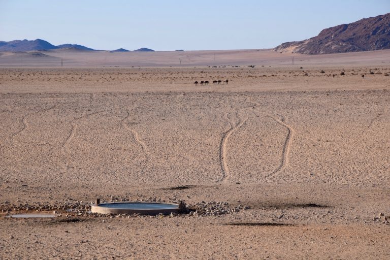 Thi tran bo hoang bi sa mac nuot chung anh 12