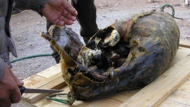 Nhung dac san gay tranh cai nhat the gioi anh 8