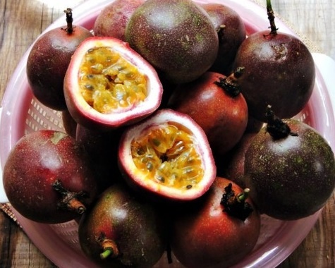 Qua dai o Viet Nam nhung dat tien o nuoc ngoai hinh anh