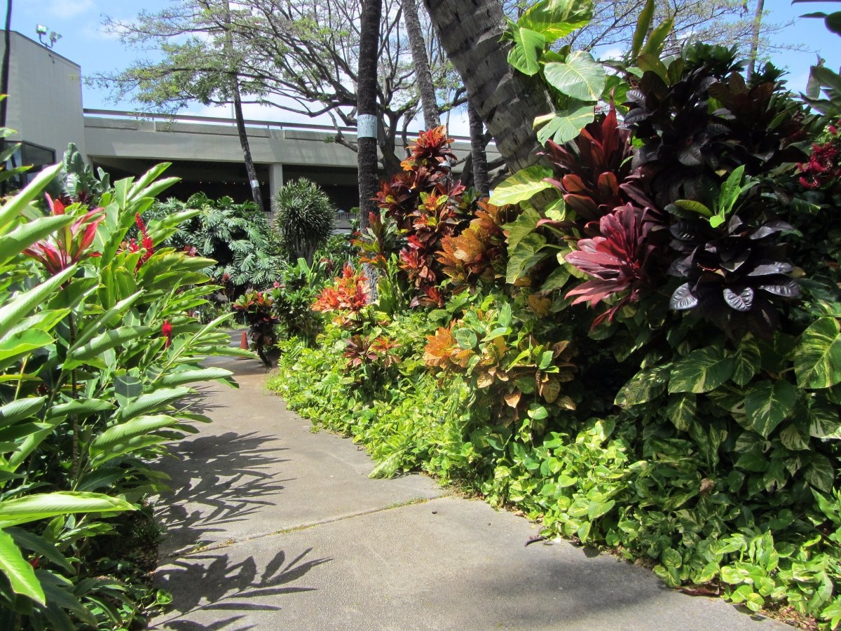 Nhung san bay My co bi hoan chuyen cung kho buc minh anh 13