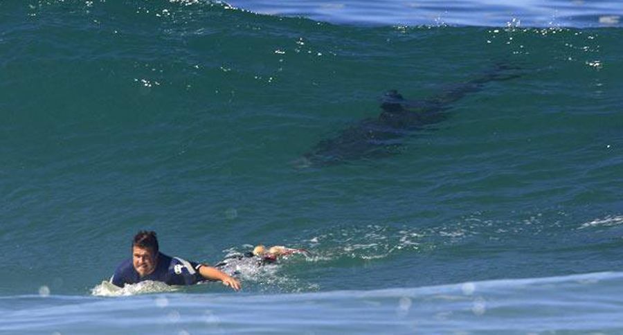 Nhung hon dao dang so nhat the gioi anh 7