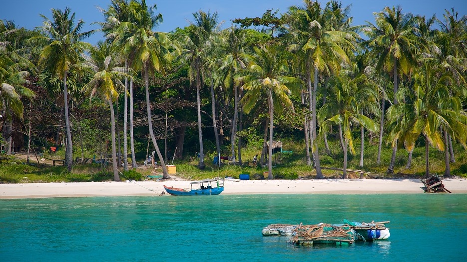Trac nghiem: Thu tai hieu biet ve bien dao Viet Nam hinh anh