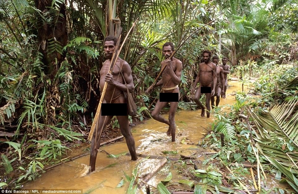 Bo toc song tren ngon cay bi don an thit dong loai anh 7