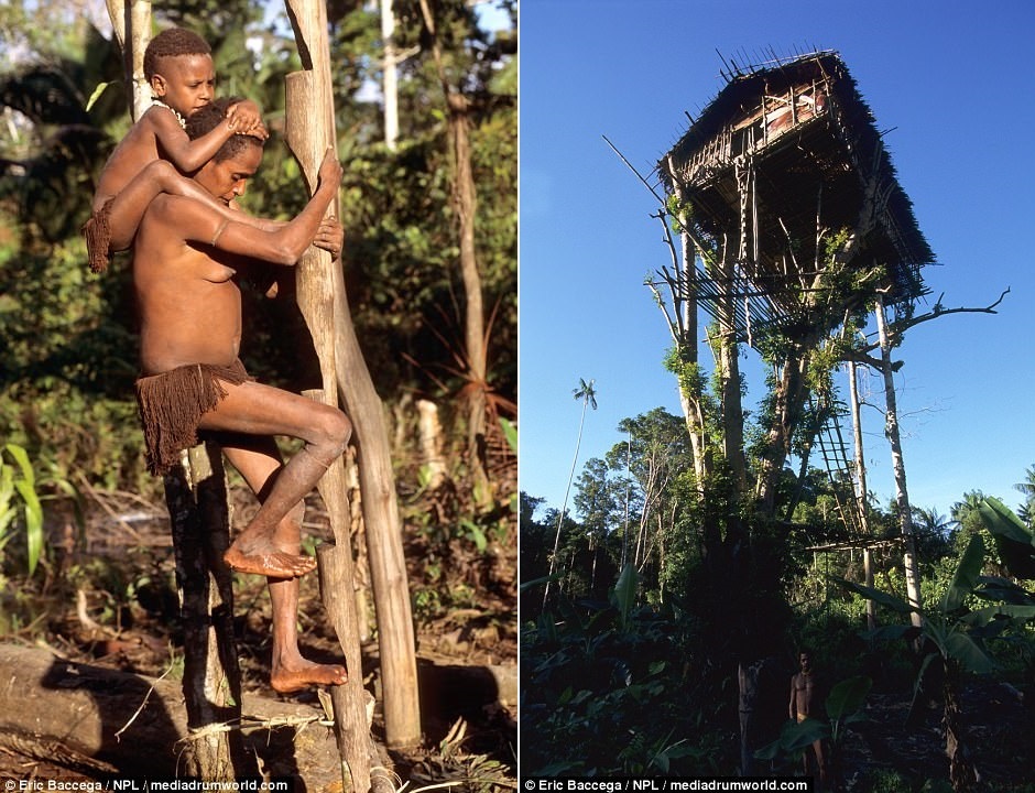 Bo toc song tren ngon cay bi don an thit dong loai anh 8