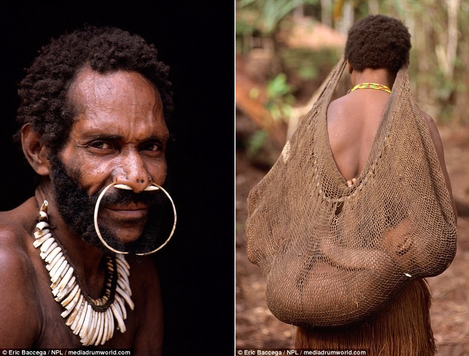 Bo toc song tren ngon cay bi don an thit dong loai anh 10