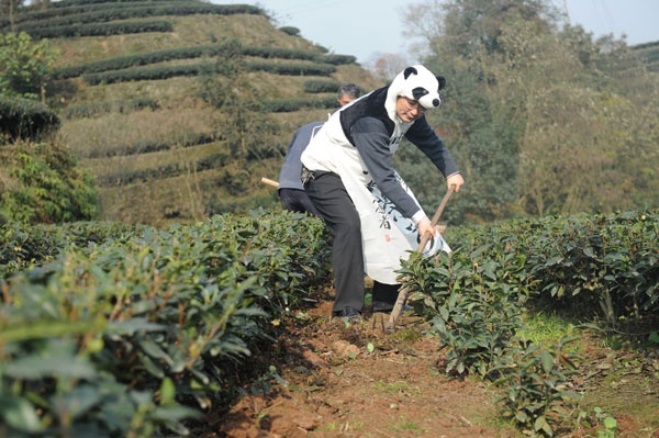 Những loại trà kỳ dị của Trung Quốc ảnh 5 Nhung loai tra ky di cua Trung Quoc anh 5