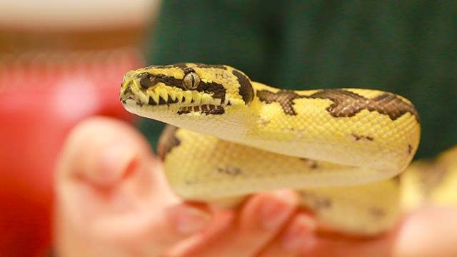 Quan ca phe ran khien du khach noi da ga anh 14