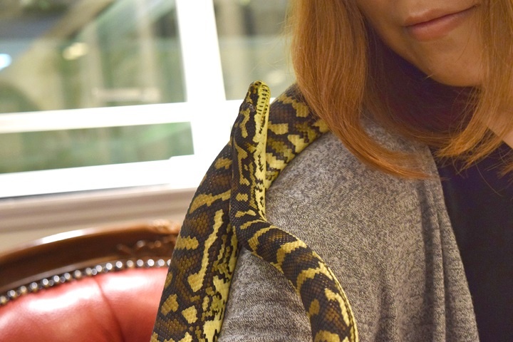 Quan ca phe ran khien du khach noi da ga hinh anh