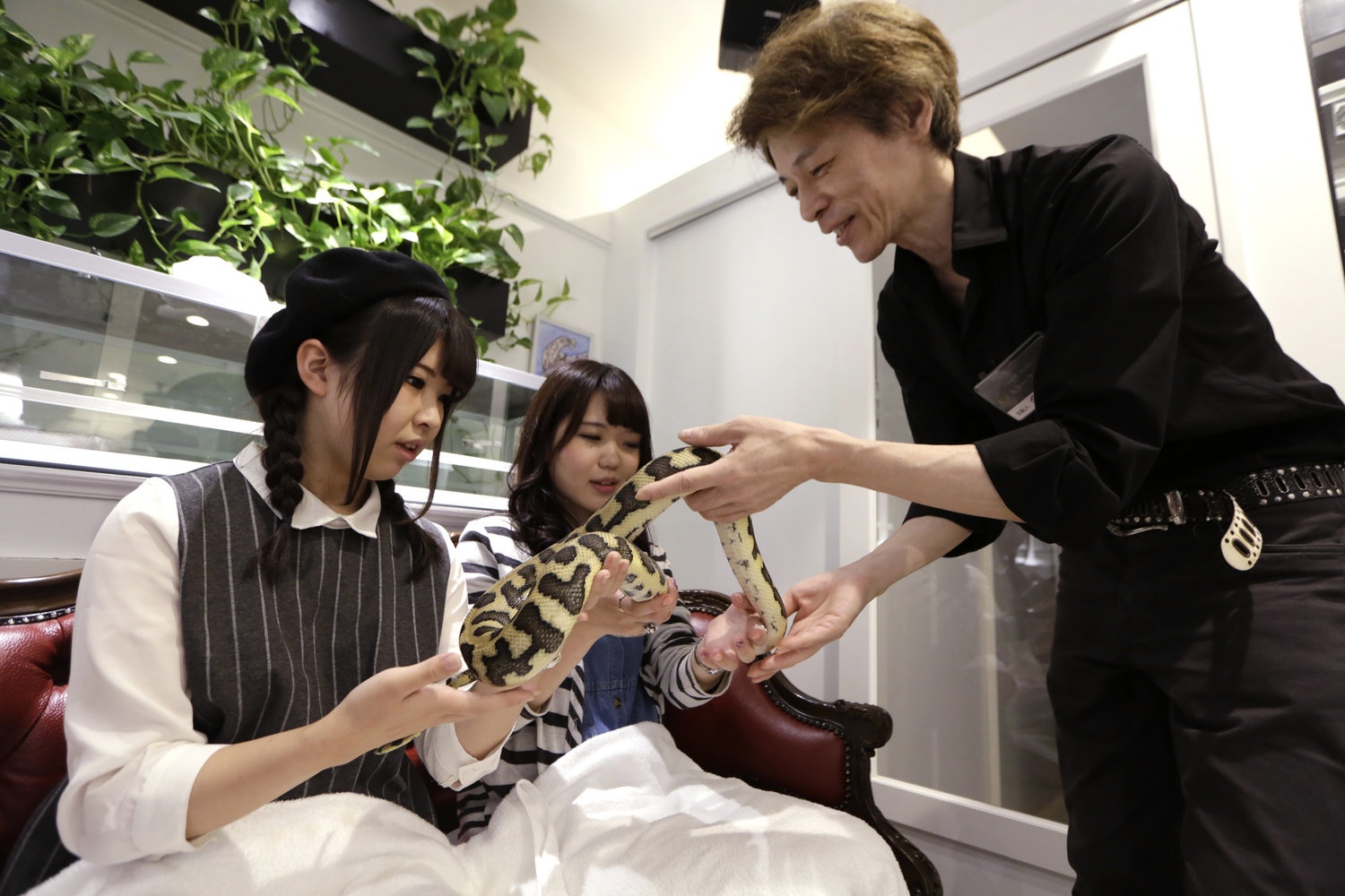 Quan ca phe ran khien du khach noi da ga anh 7