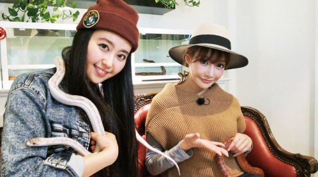 Quan ca phe ran khien du khach noi da ga anh 10