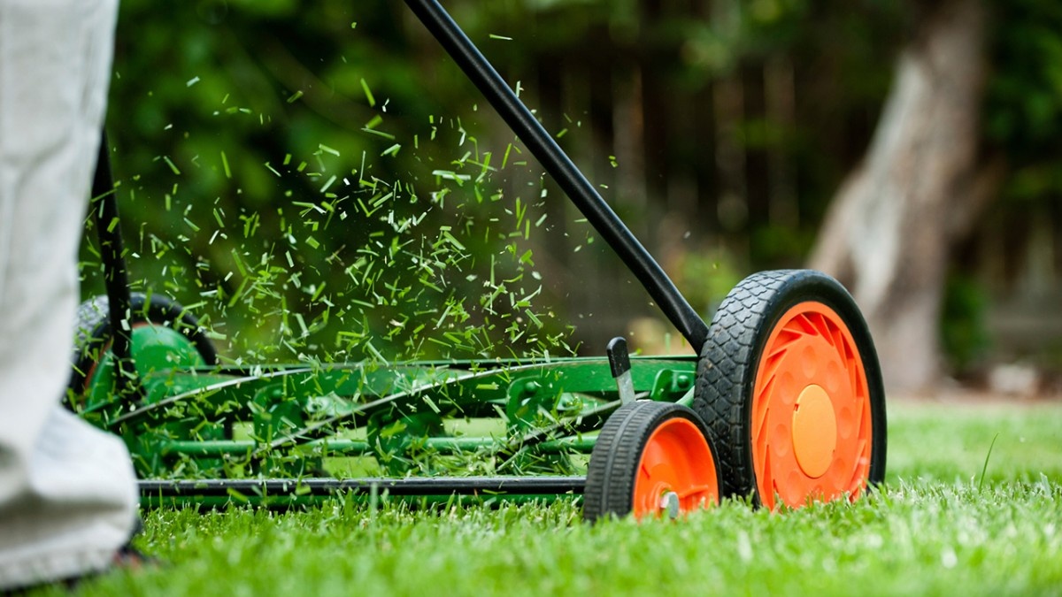 Nhung dieu luat la lung nhung co ly o Thuy Si anh 6