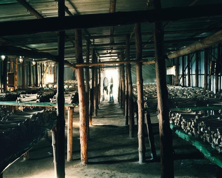 Nhung diem &lsquo;du lich den&rsquo; am anh tren the gioi anh 7