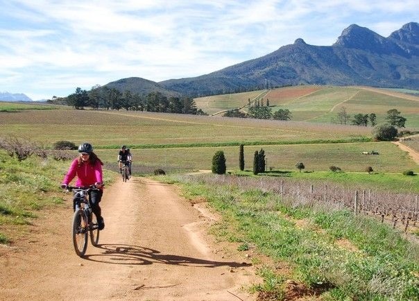 Nhung diem den co ten doc meo ca mieng anh 4