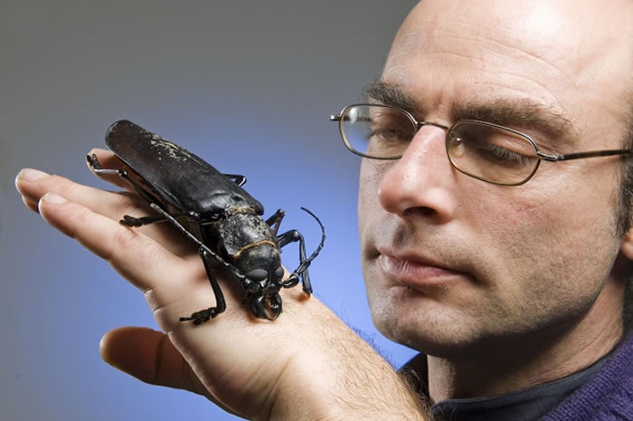 Nhung diem ngam con trung to nhu thoi tien su anh 10