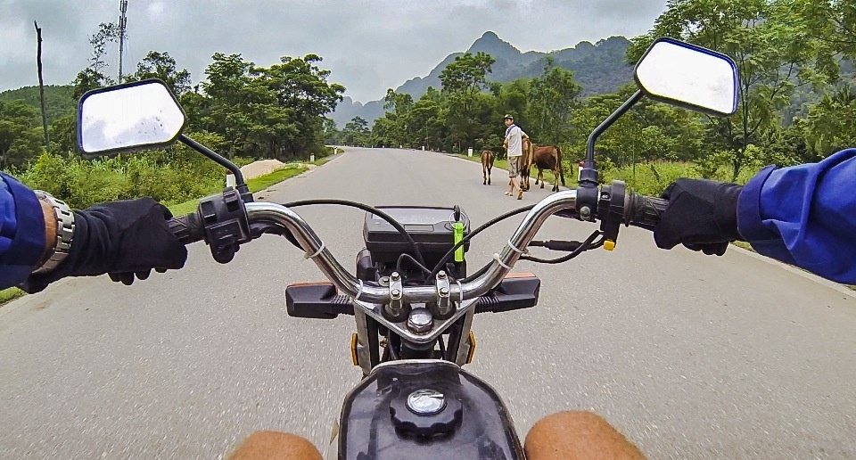 Khach Tay ri tai nhau meo &lsquo;song sot&rsquo; khi di xe may o Viet Nam anh 5