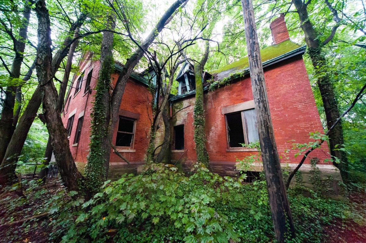 Dao bo hoang giua New York dat dat hon vang anh 10