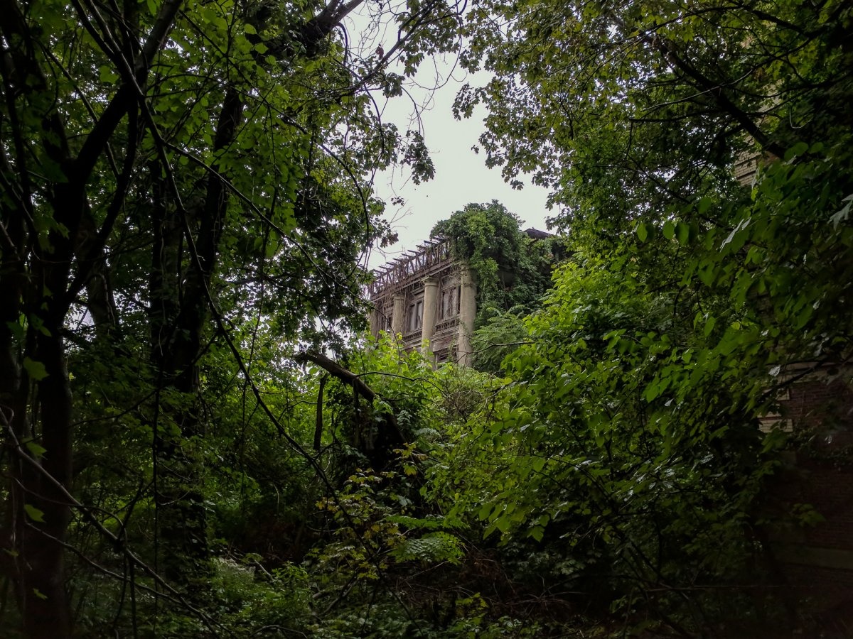 Hon dao khong ai dam dat chan toi giua New York hinh anh