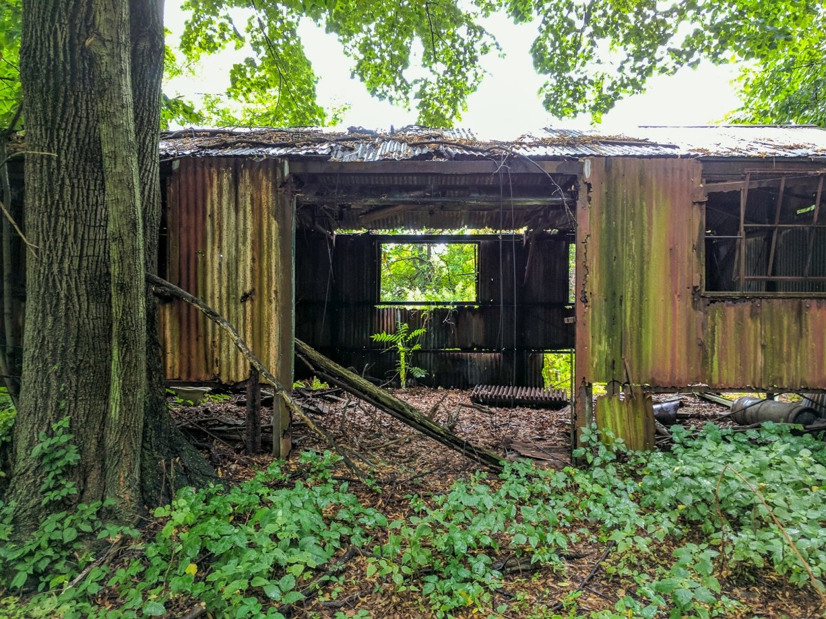 Dao bo hoang giua New York dat dat hon vang anh 12