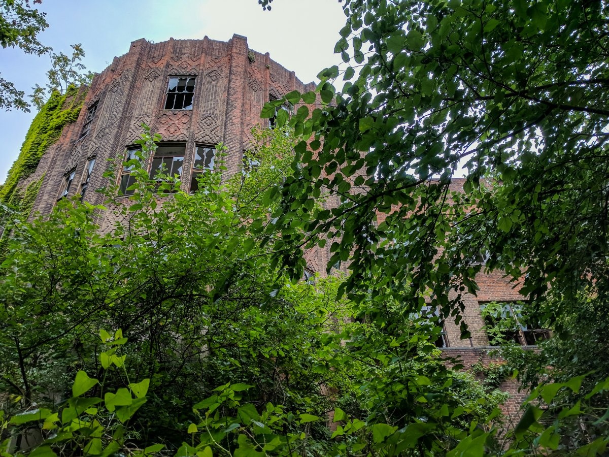 Dao bo hoang giua New York dat dat hon vang anh 13