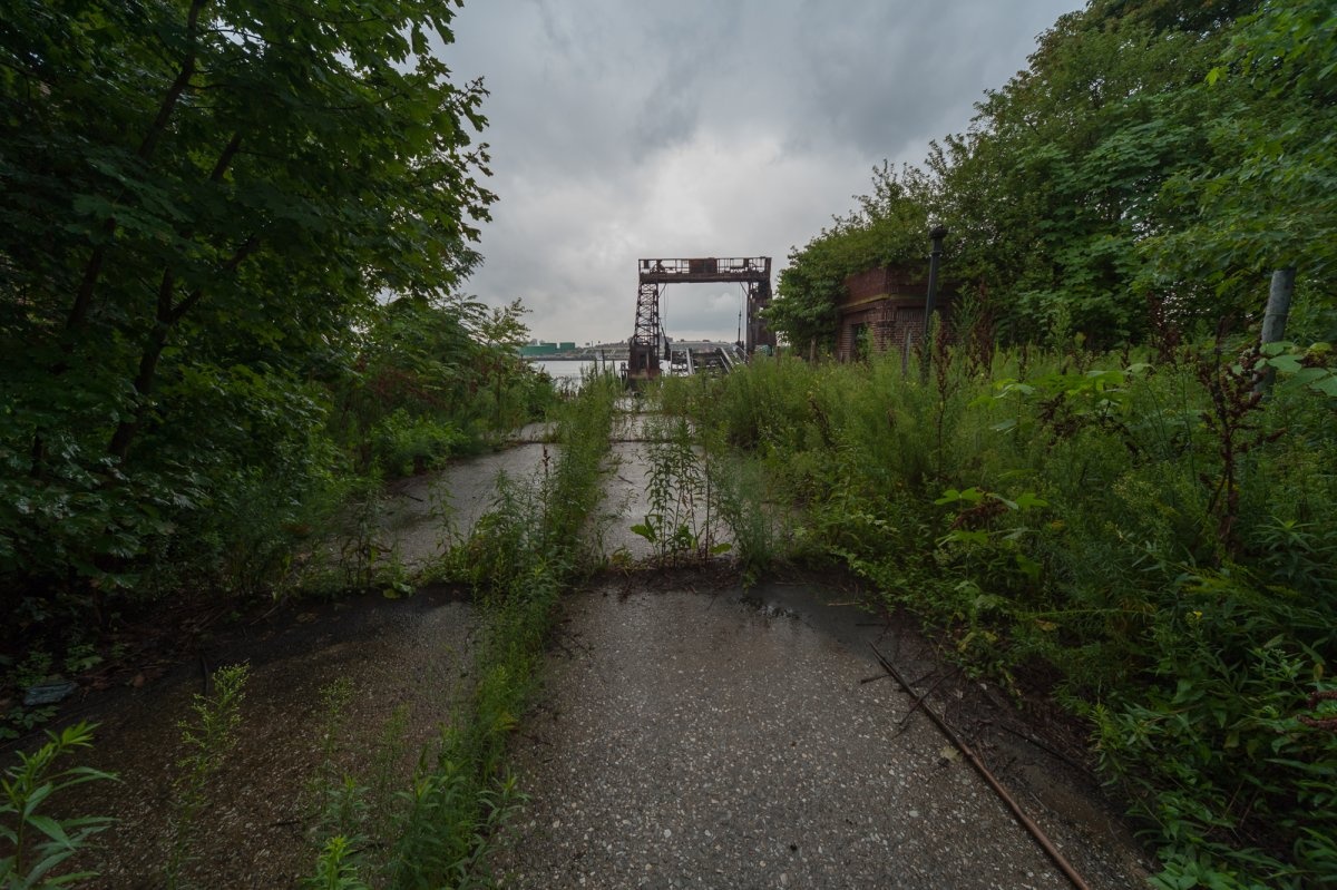 Dao bo hoang giua New York dat dat hon vang anh 5