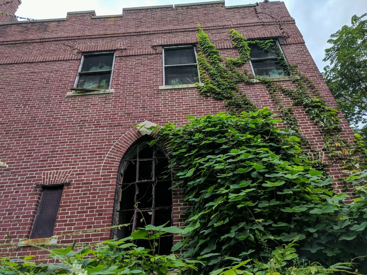 Dao bo hoang giua New York dat dat hon vang anh 8