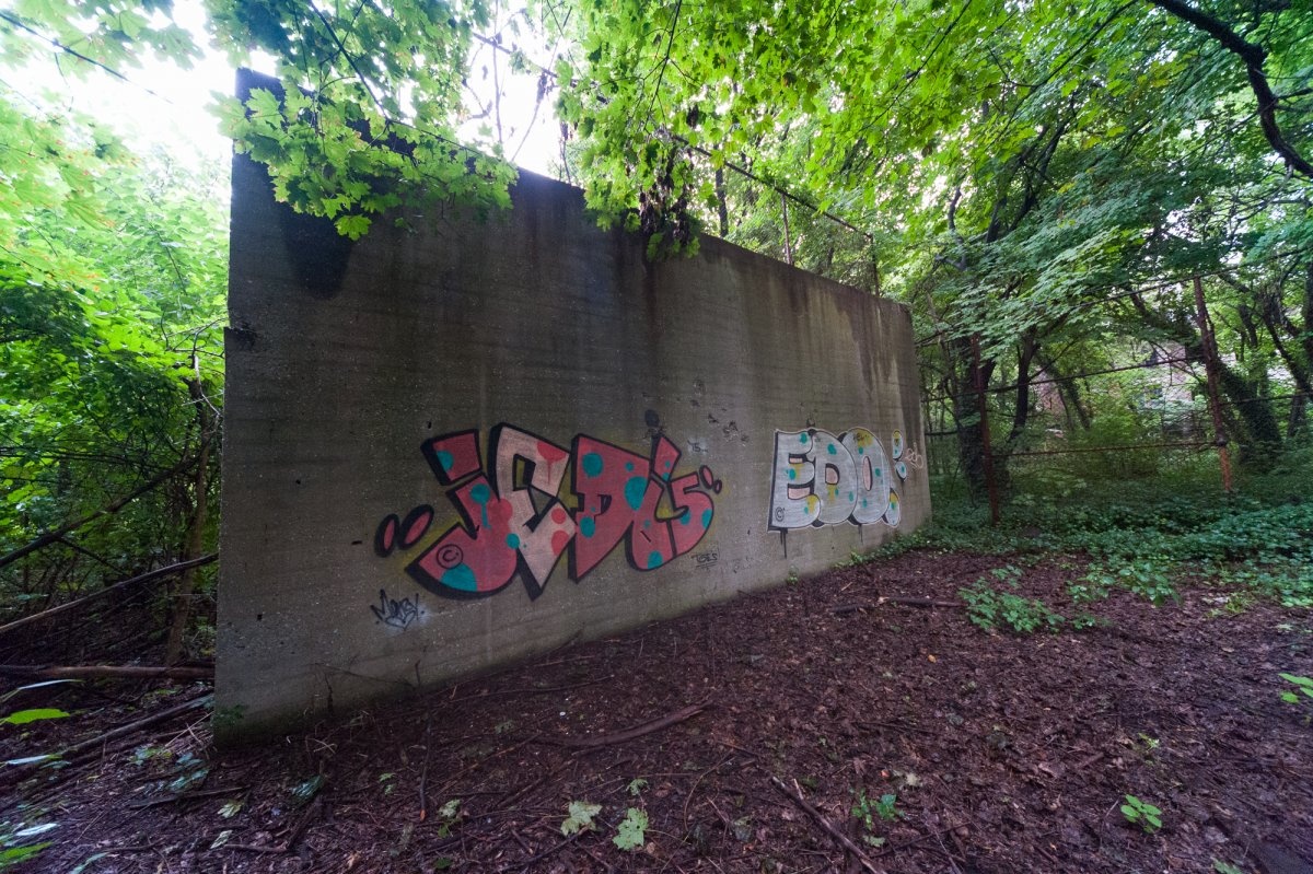 Dao bo hoang giua New York dat dat hon vang anh 9