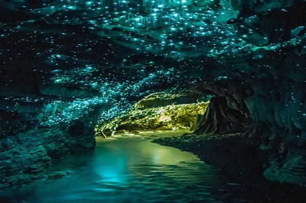 Hang dong dep nhu phim vien tuong nho 30.000 con dom dom hinh anh