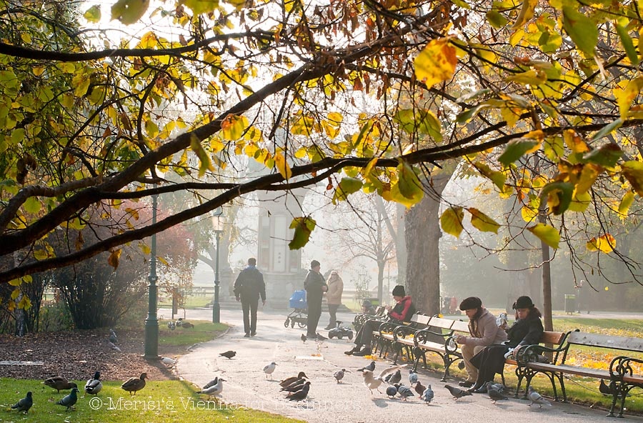 Nhung la phoi xanh dep nhu thien duong giua long thanh pho anh 9