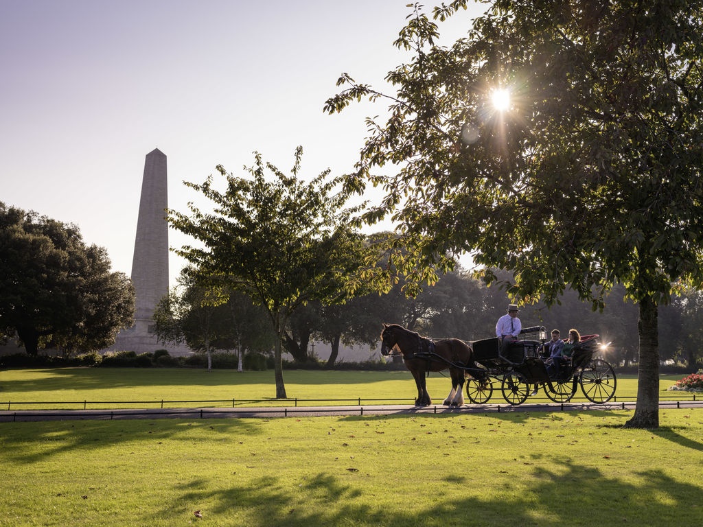 Nhung la phoi xanh dep nhu thien duong giua long thanh pho anh 1