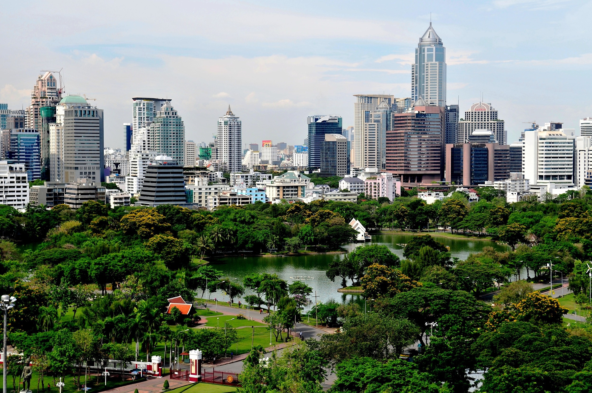 Nhung la phoi xanh dep nhu thien duong giua long thanh pho anh 4