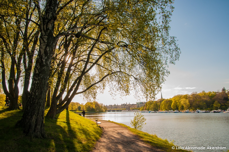 Nhung la phoi xanh dep nhu thien duong giua long thanh pho anh 6