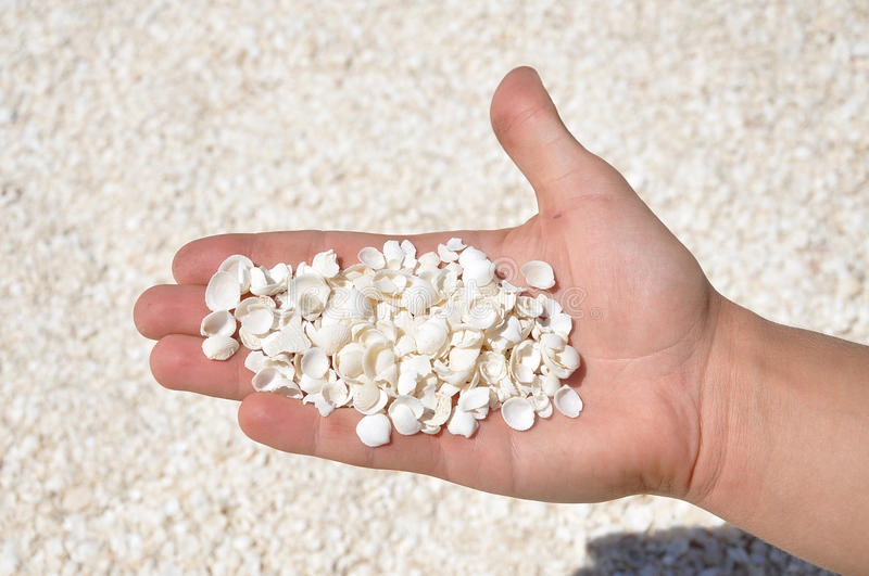 Bai bien khong co mot chut cat hinh anh