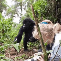 Tour ngam khi dot khong danh cho khach yeu tim hinh anh