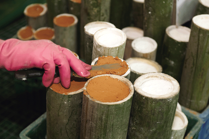 Dac san Han Quoc lam suot 3 nam moi xong hinh anh