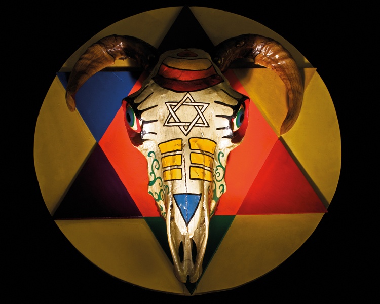 Hien vat dang so trong bao tang phu thuy hinh anh