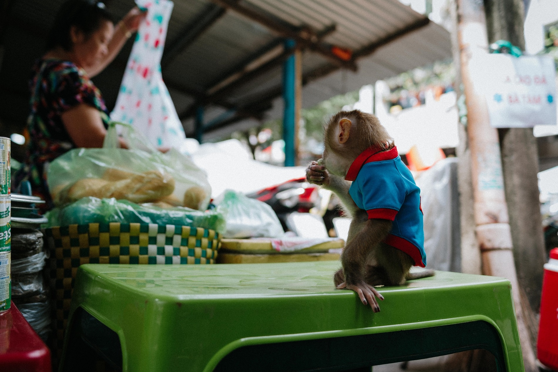 Quan cacao banh mi 20 nam than thuong cua di Tam Sai Gon anh 12