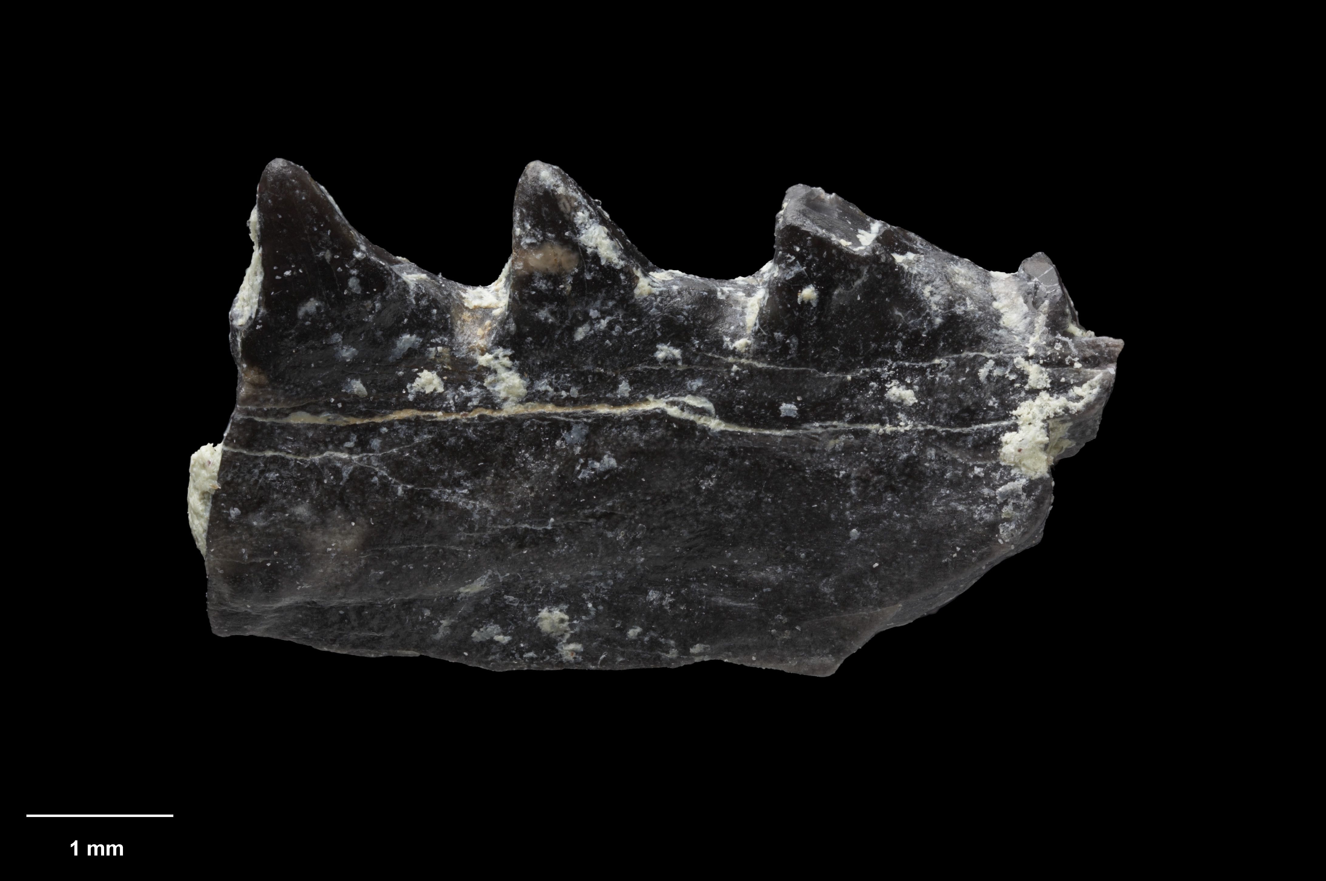 Nhung dieu thu vi ve luc dia thu 8 cua the gioi anh 4