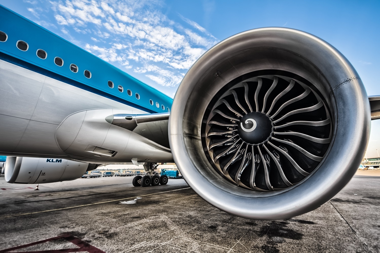 Chuyen gi xay ra khi chim dam vao dong co may bay? hinh anh